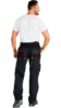Брюки НОКСФИЛД